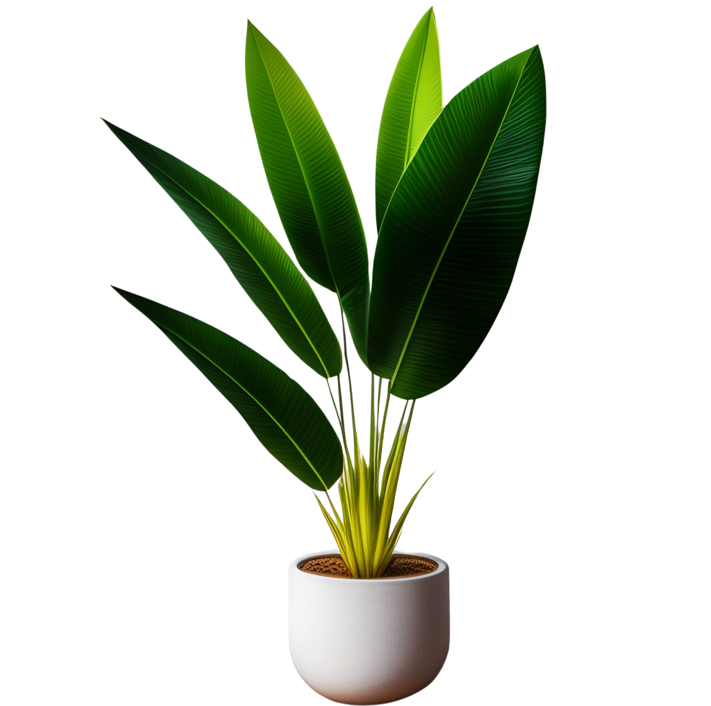 plant-img